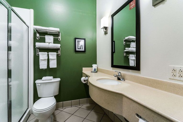 Bathroom 5, Sleep Inn & Suites Smithfield near I-95, Johnston