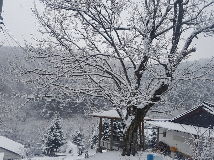 Exterior & Views 2, Hwaya Mountain Pension, Gapyeong