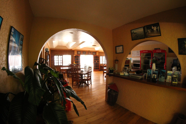 Food & Drinks 5, Sogod Bay Scuba Resort, Padre Burgos