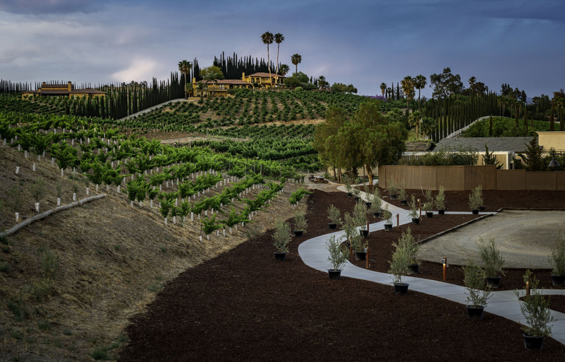 Exterior & Views 2, Europa Village Wineries and Resort, Riverside