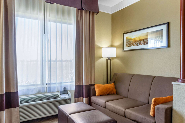 Others 5, Comfort Suites Plainview, Hale