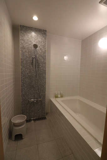 Bathroom 4, Hatago, Yanagawa