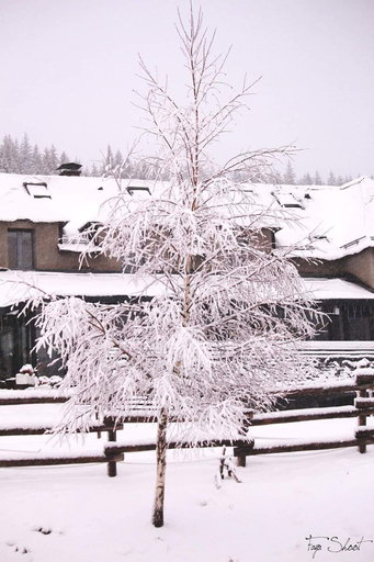 Exterior & Views 2, Le Chalet du Soulor, Hautes-Pyrénées