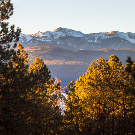 Mountain Haven, Colfax