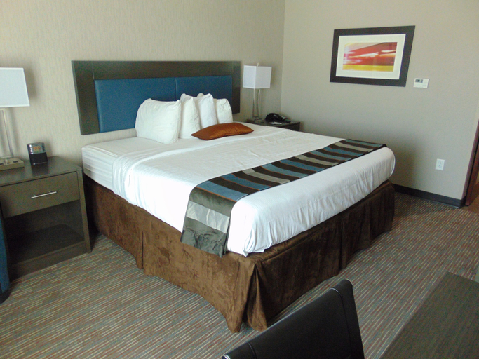 Bedroom 3, Wingate by Wyndham Lubbock near Texas Tech Univ. Medical Ctr, Lubbock