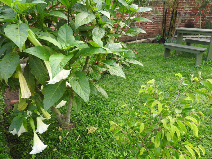Others 5, Green Village Apartments, Fort Portal