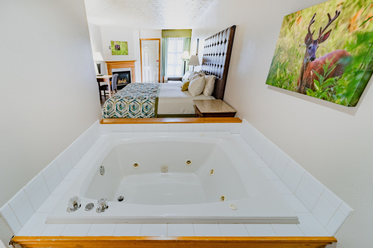 Bathroom 4, Accommodation By Willow Brook Lodge, Sevier