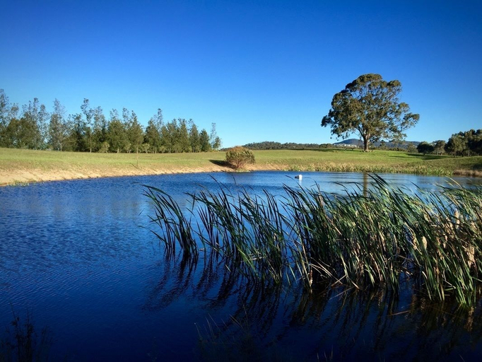 Others 5, Grapevines Boutique Accommodation, Cessnock