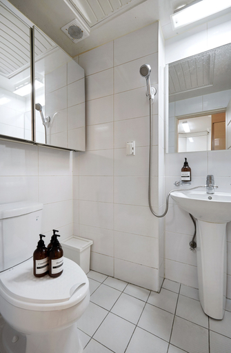 Bathroom 5, Tribear House 2, Gangnam