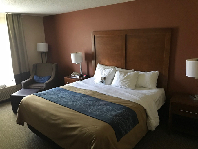 Bedroom, Comfort Inn Livingston, Sumter