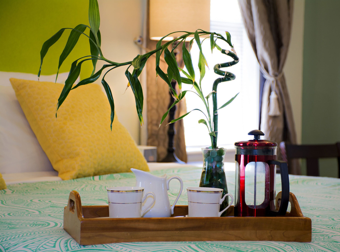 Others 4, Malolo Bed and Breakfast, Washington D.C.