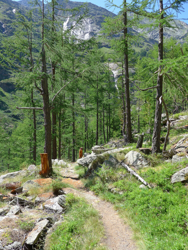 Hiking 3, Ferienhaus Piccolo, Saas-Grund, Visp