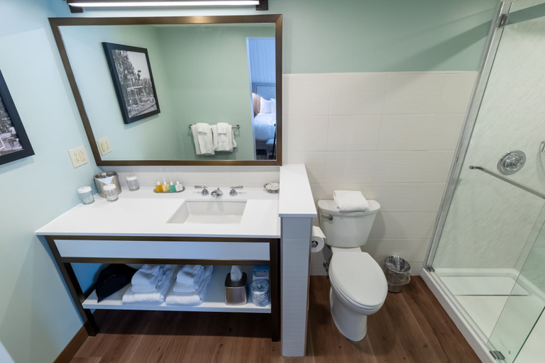 Bathroom 4, Oglebay Resort, Ohio