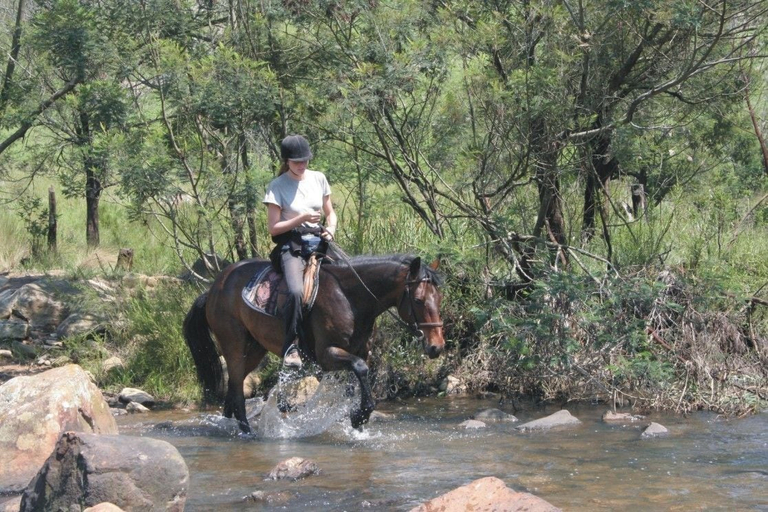 Others 5, Hawane Resort, Motjane