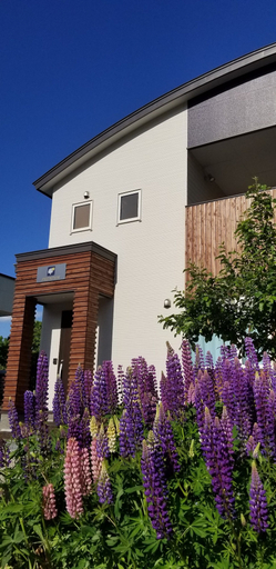 Exterior & Views 2, Kashiwa House Furano, Furano