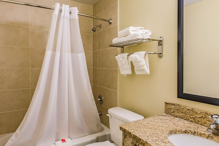 Bathroom 3, Econo Lodge Lexington Downtown near I-81, Lexington