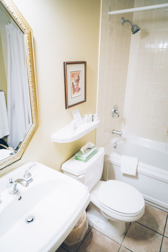 Bathroom 4, The Great George, Queens