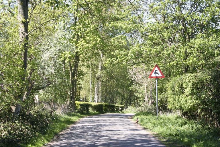 Others 4, Teglgaarden bed and breakfast, Svendborg