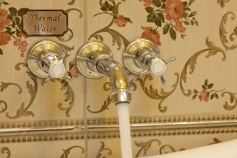 Bathroom 5, Limak Thermal Boutique Hotel - Boutique Class, Termal