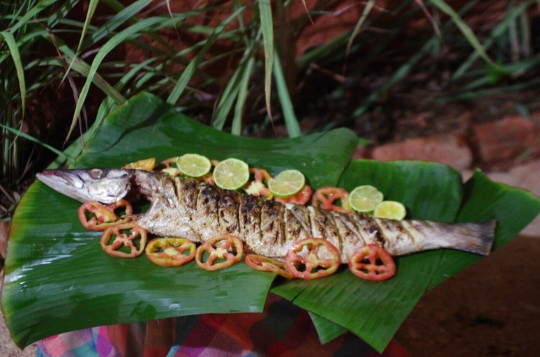 Food & Drinks 5, Villa Malaka, Dakar