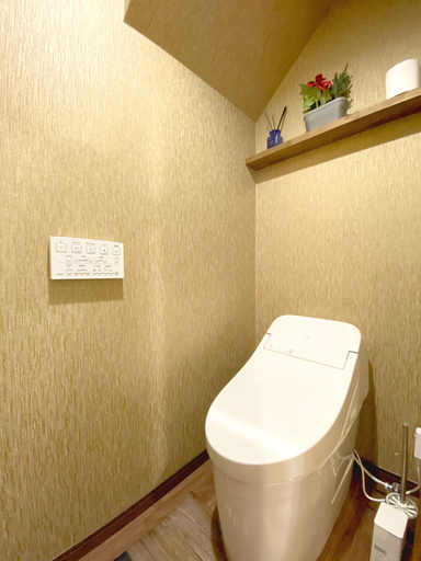 Bathroom 3, Diamond YU, Fujikawaguchiko