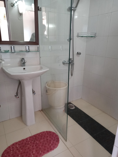 Bathroom 4, Dragon I Resorts, Kangra