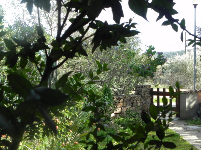 Garden 4, Fantastico San Teodoro AMB01, Nuoro
