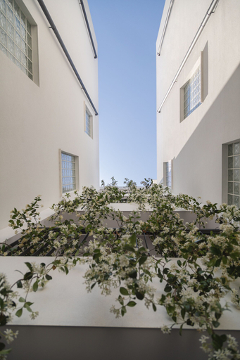 Exterior & Views 2, Alinea Urban Saripolou Square