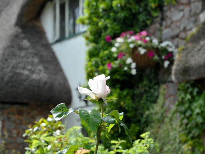 Others 1, Greyhound Country Inn, Devon