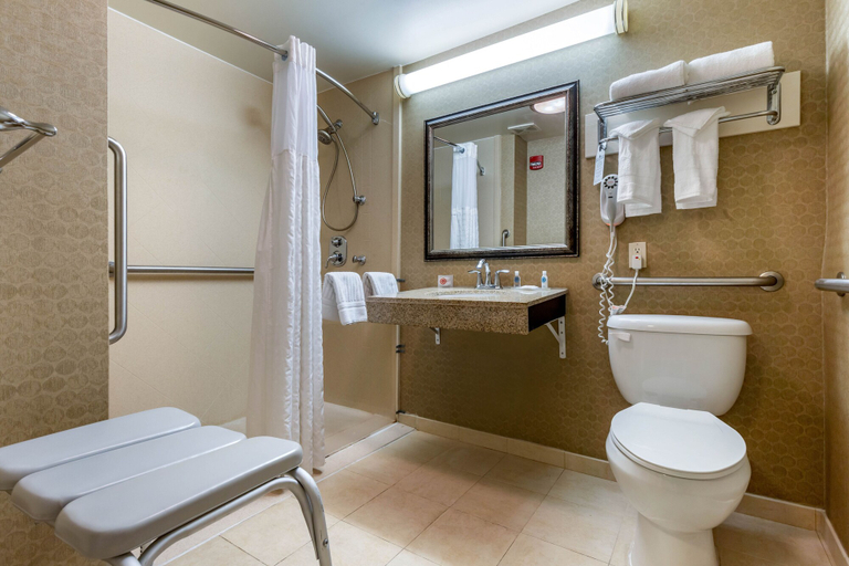 Bathroom 4, Comfort Inn Warner Robins Georgia, Houston