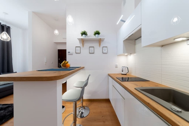 Others 4, Royal City Apartments Starowiślna 36, Kraków City