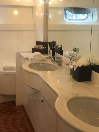 Bathroom, Pacific Jemm - Luxury Super Yacht, Queenstown-Lakes
