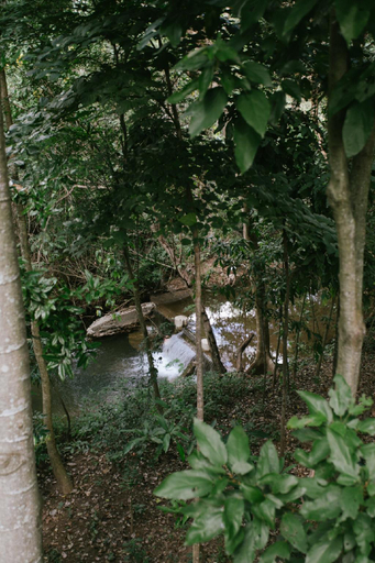 Others 4, Sometimes Khaoyai, Pak Chong