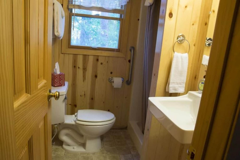 Bathroom 4, Riverside Point Resort, Hubbard