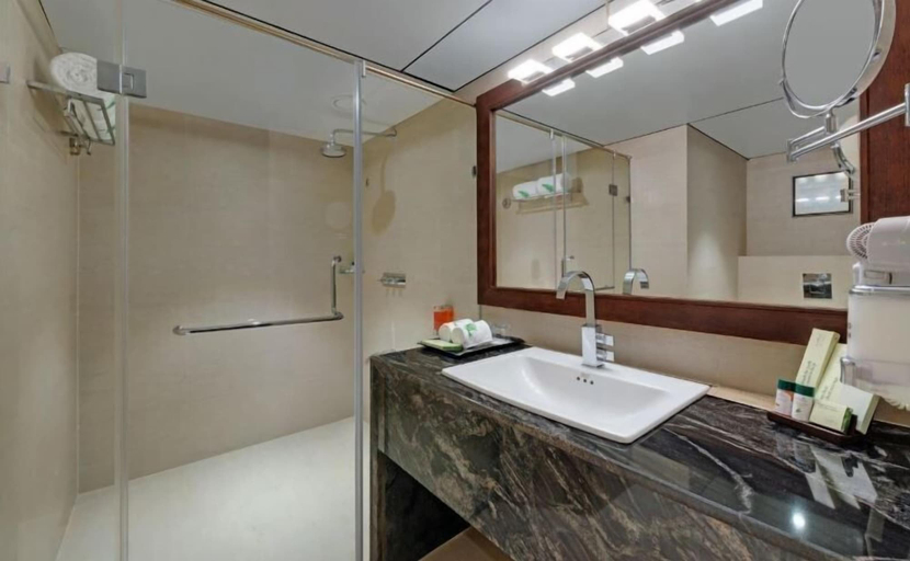 Bathroom 5, The Fern Residency Satara, Satara