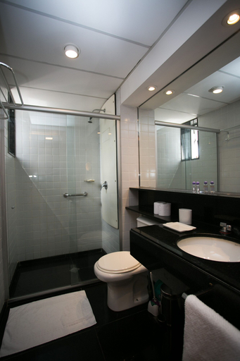 Bathroom 5, Locking's Santo Agostinho 9, Belo Horizonte