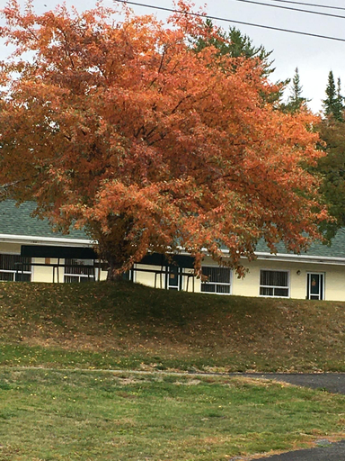 Exterior & Views 2, La Roma Motel, Madawaska
