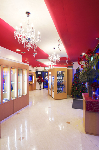 Public Area 2, Hotel Park Inn - Adults Only, Higashimatsuyama