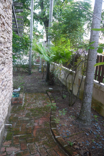 Others 5, Batu Ferringhi Homestay, Pulau Penang
