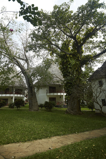 Exterior & Views 2, Neptune Village Beach Resort & Spa All Inclusive, Msambweni