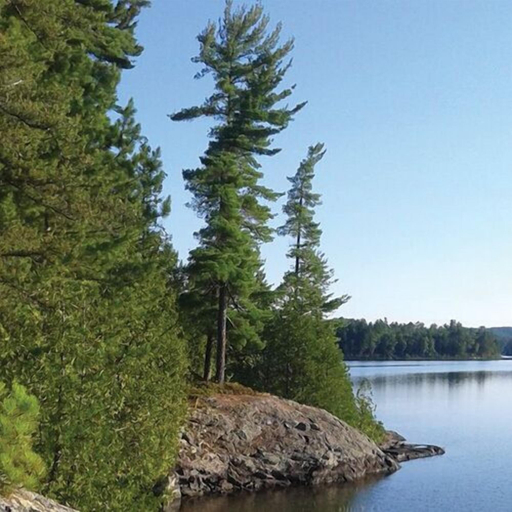 Lake, Lodge on the Point, Nipissing