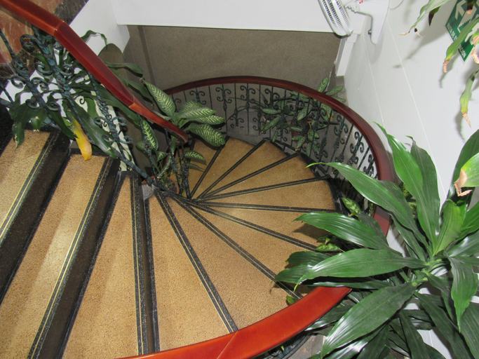 Others 4, Hotel Ejecutivo, Dosquebradas