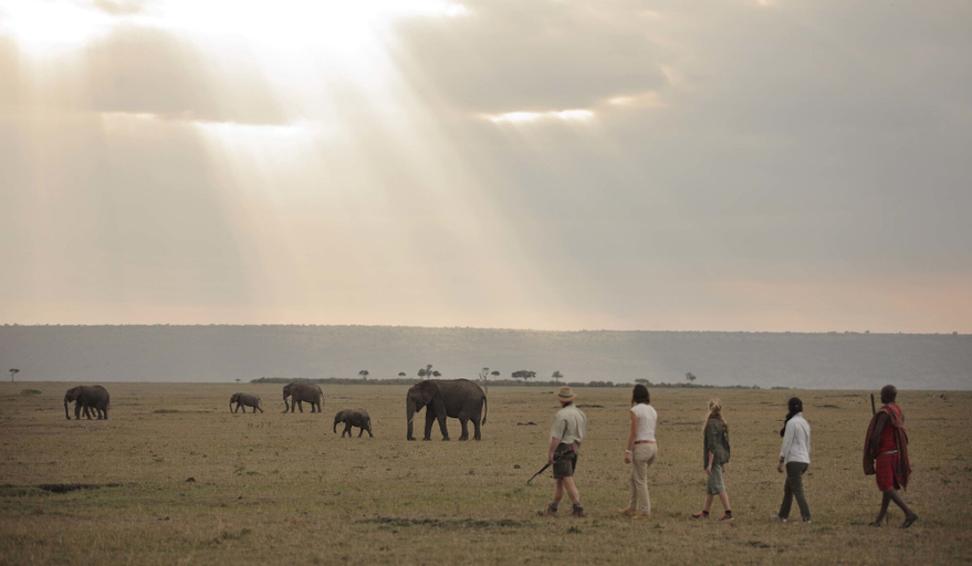 Others 5, Elewana Elephant Pepper Camp, Narok West