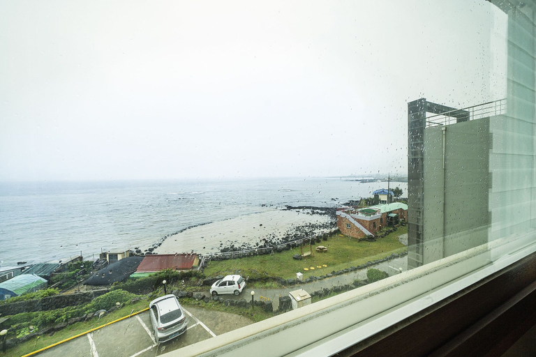 Others 4, Fantastic Ocean View Sydney Hotel, Jeju
