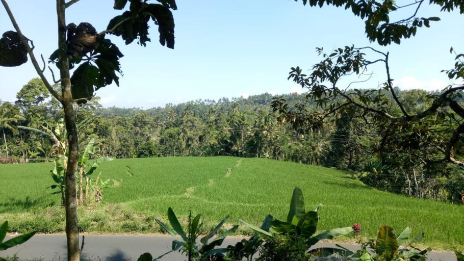Others 2, Herry Panggang Homestay and Transport Service, Banyuwangi
