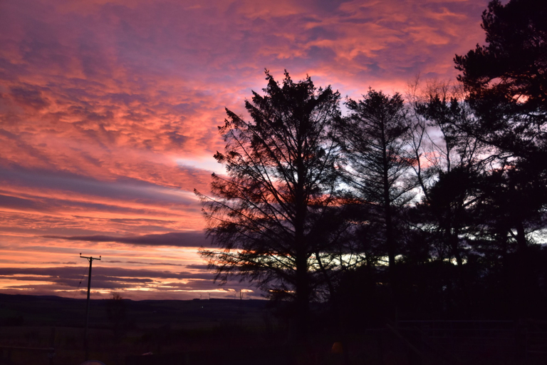 Others 5, Chapelhill Croft Farmhouse B&B, Moray