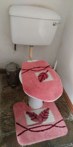 Bathroom 3, Ruwa River Herbal Clinic & All-Inclusive Oasis Spa Resort, Harare