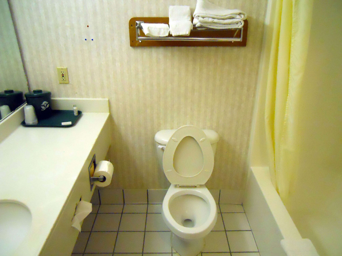 Bathroom 3, Americas Best Inn & Suites - Decatur, DeKalb