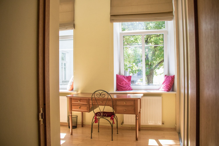 Others 5, Great Apartment near Town Hall, Vilniaus