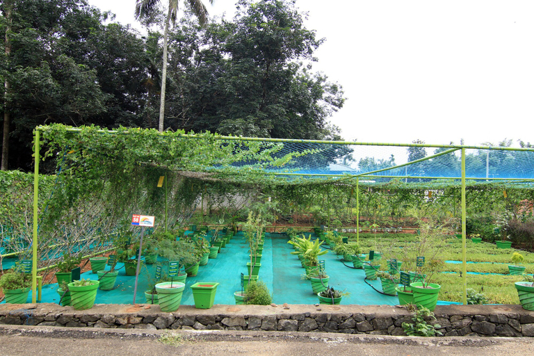 Others 4, Ayur Bethaniya Ayurveda Hospital, Thrissur